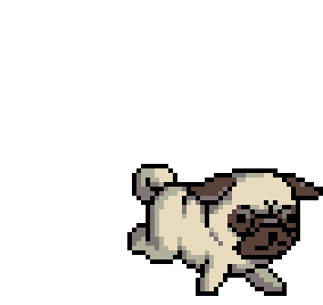 Pug Run