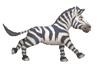 Zebra